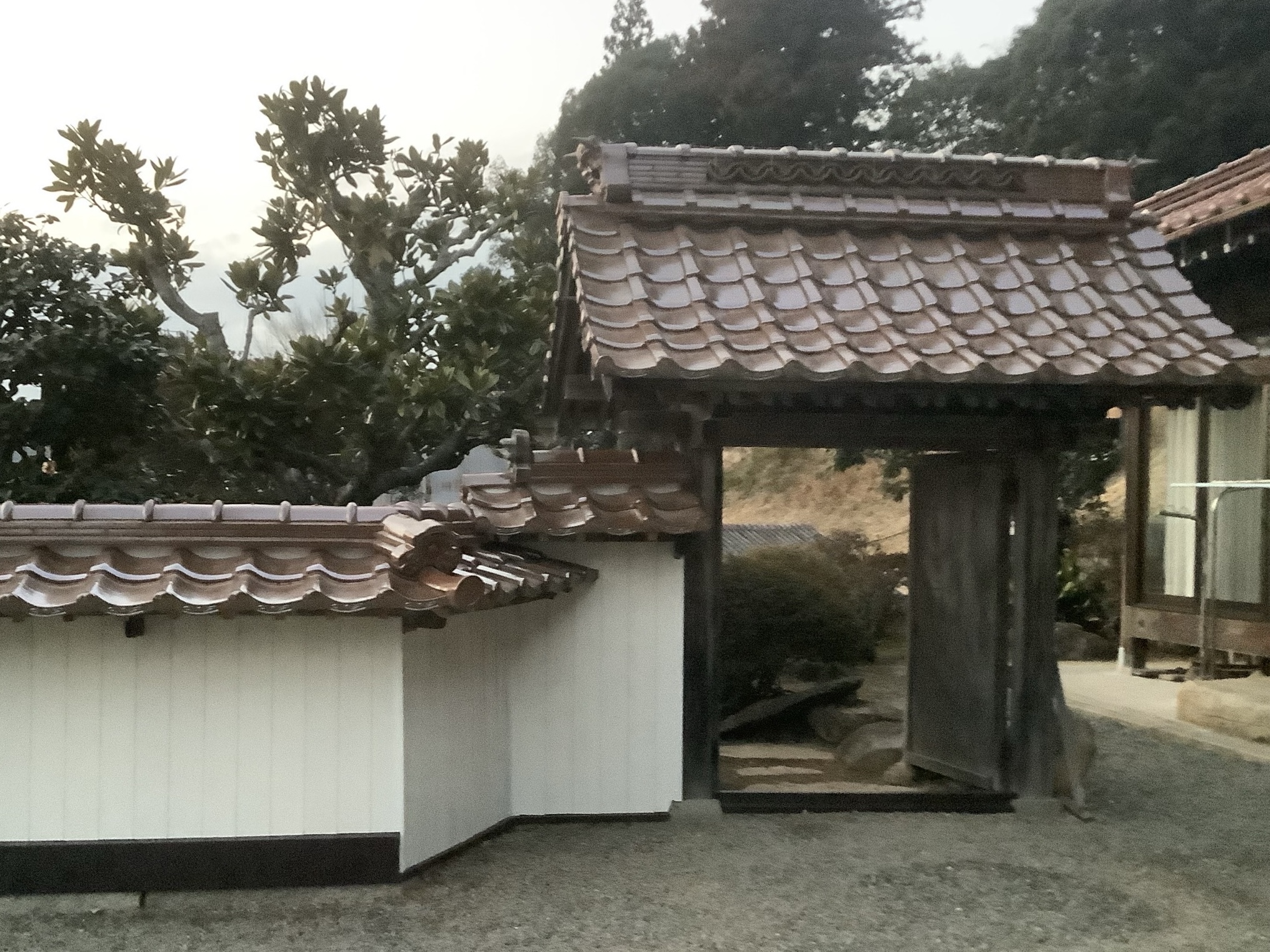 塀の修繕工事 after